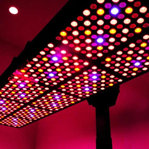 Vista dal basso del design dell'irradianza del pannello a luce rossa e infrarossa vicina