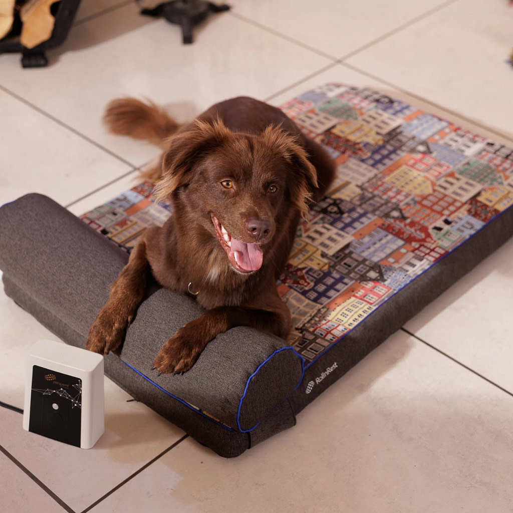 Dog getting PEMF treatment on the RollnRest Pad
