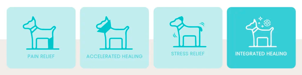 Programmi preimpostati terapia cani PetsPEMF visualizzati con opzioni per sollievo dolore e relax