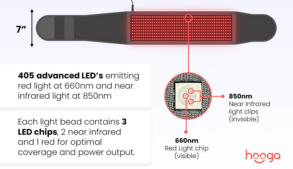 Technical diagram illustrating Hooga Red Light Belt LED array and wavelength penetration depth