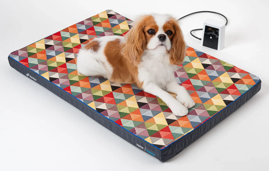 Cavalier Kind Spaniel on the RollnRest Pad in its Elara texture