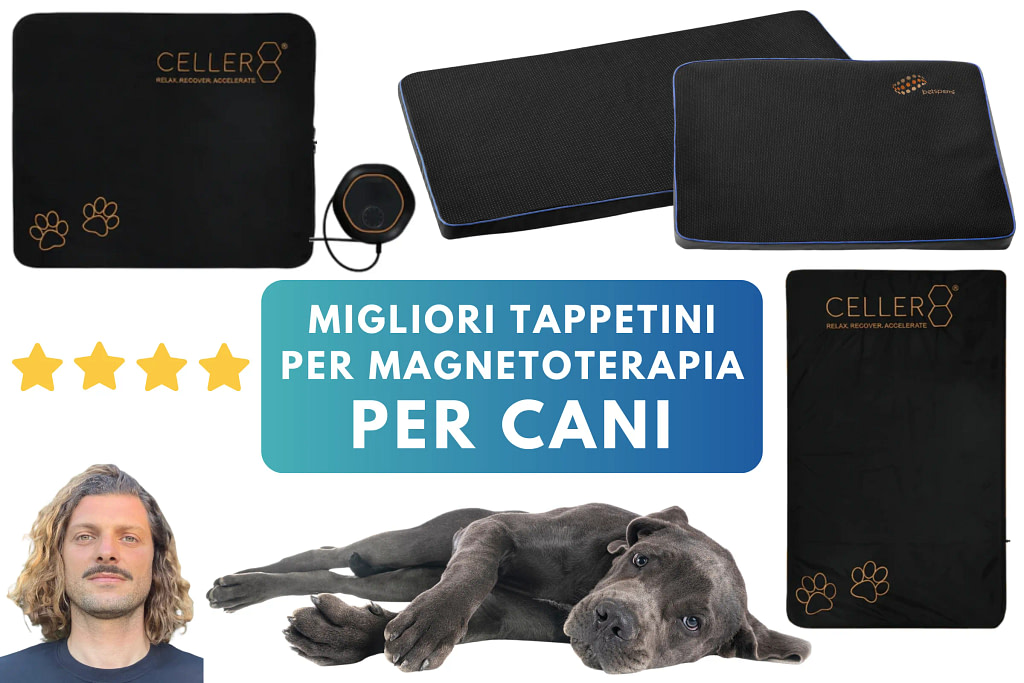 I Migliori Tappetini per Magnetoterapia per Cani e Gatti