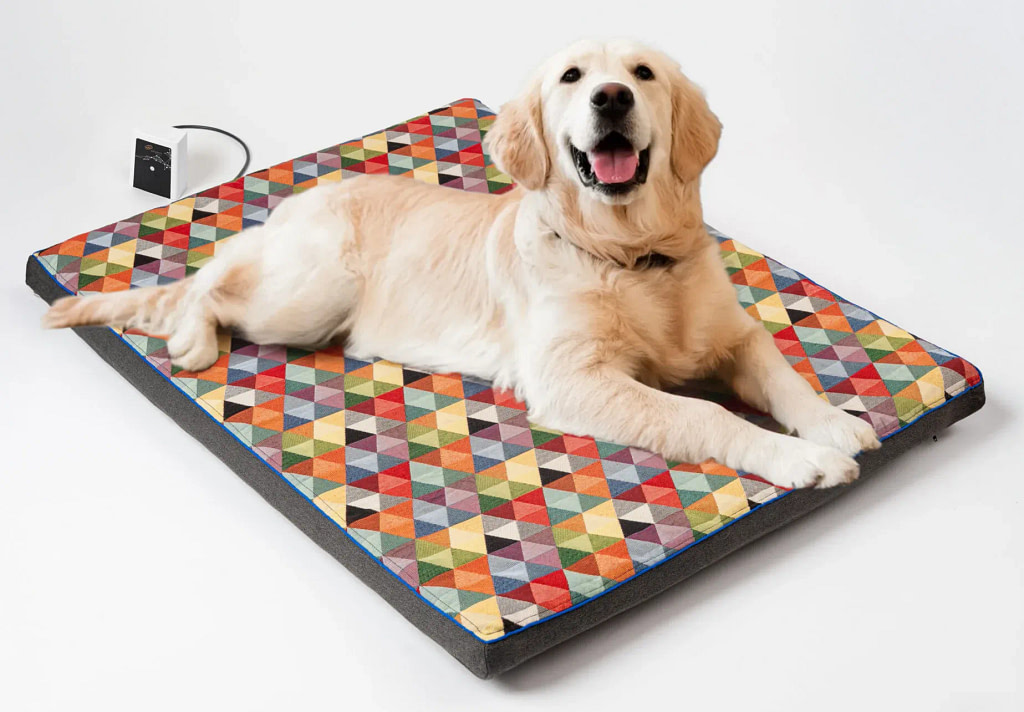 Labrador having a good time on the RollnRest Pad