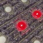 Detail of the red lights of the Sparkle mat