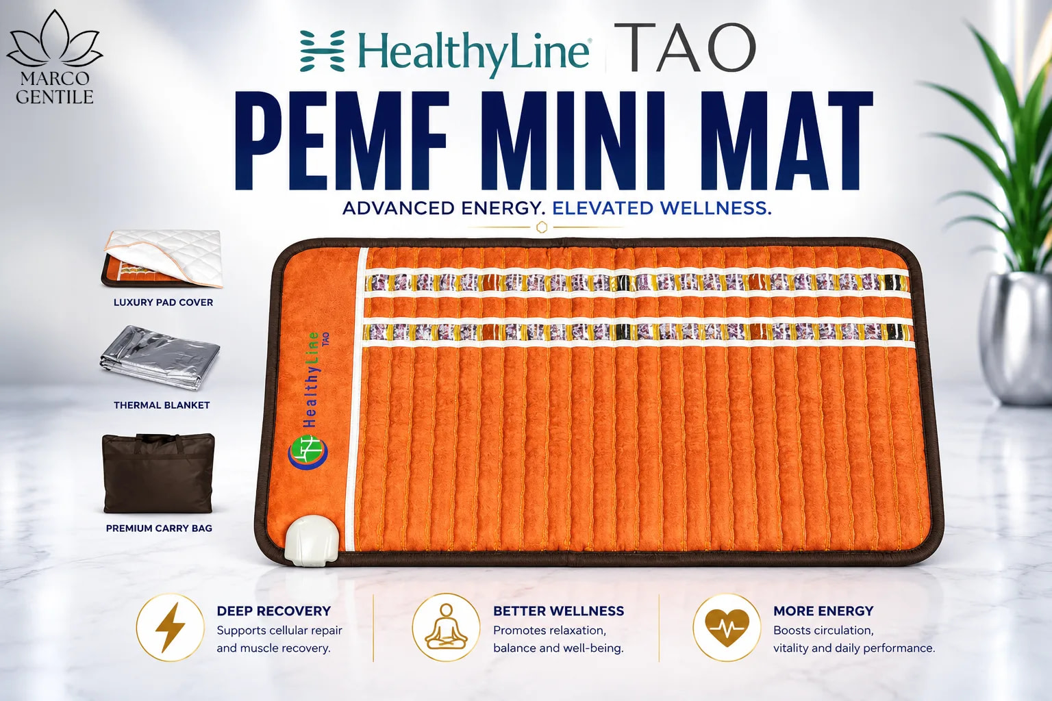 Healthyline TAO PEMF Mini Mat Review