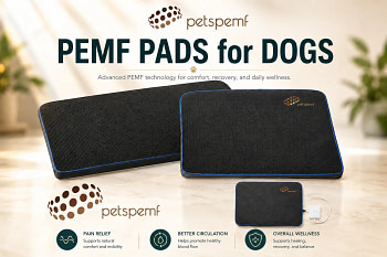 PetsPEMF Pad For Dogs Review Showing PEMF Therapy For Arthritis And Joint Pain