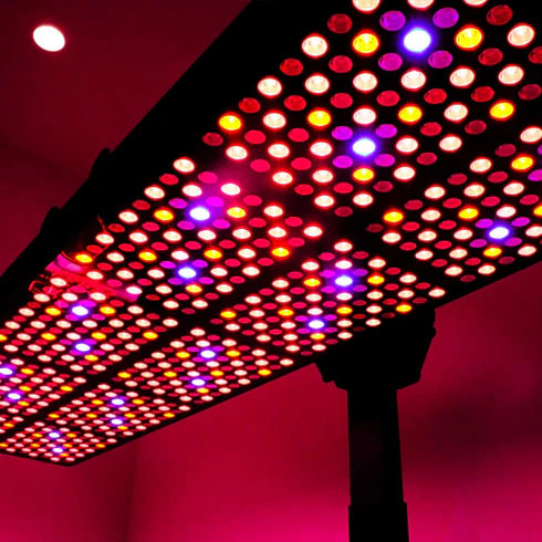 Underview of red and near infrared light panel irradiance design