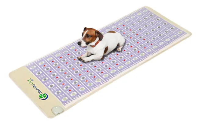 PEMF devices for dogs: mats