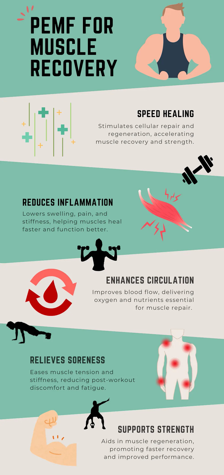 PEMF for muscle recovery - infographic