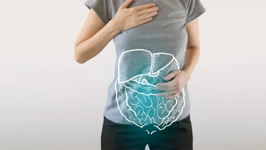 PEMF Mat Benefits - Imrpoves Digestion