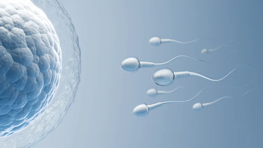 Red Light Therapy Benefits - #20
Enhances Fertility