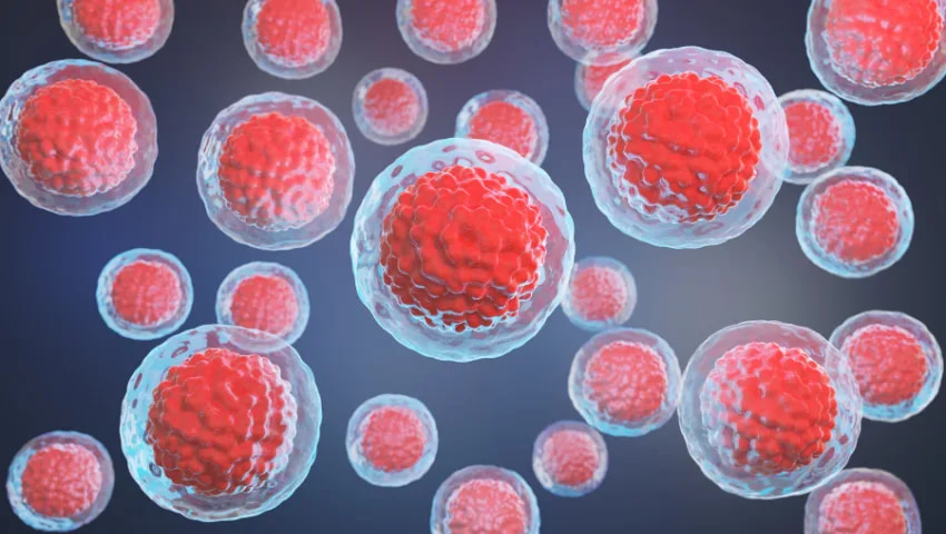 PEMF Mats Benefit - Activates Stem Cells