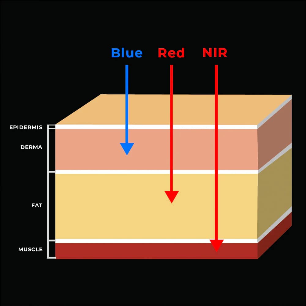 Immagine che mostra come le diverse lunghezze d'onda penetrano la pelle