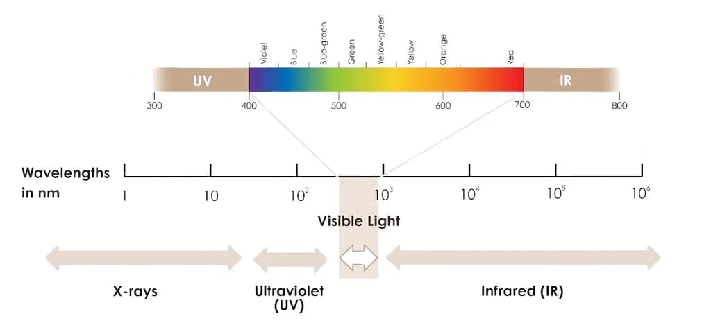 How to use red light therapy for hair loss: the light spectrum explained