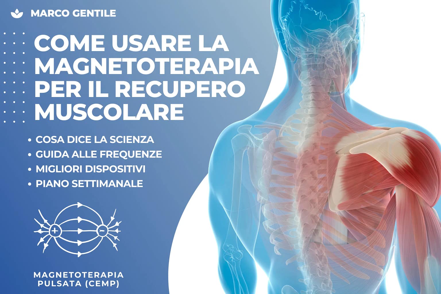 Come Usare la Magnetoterapia Pulsata per il Recupero Muscolare