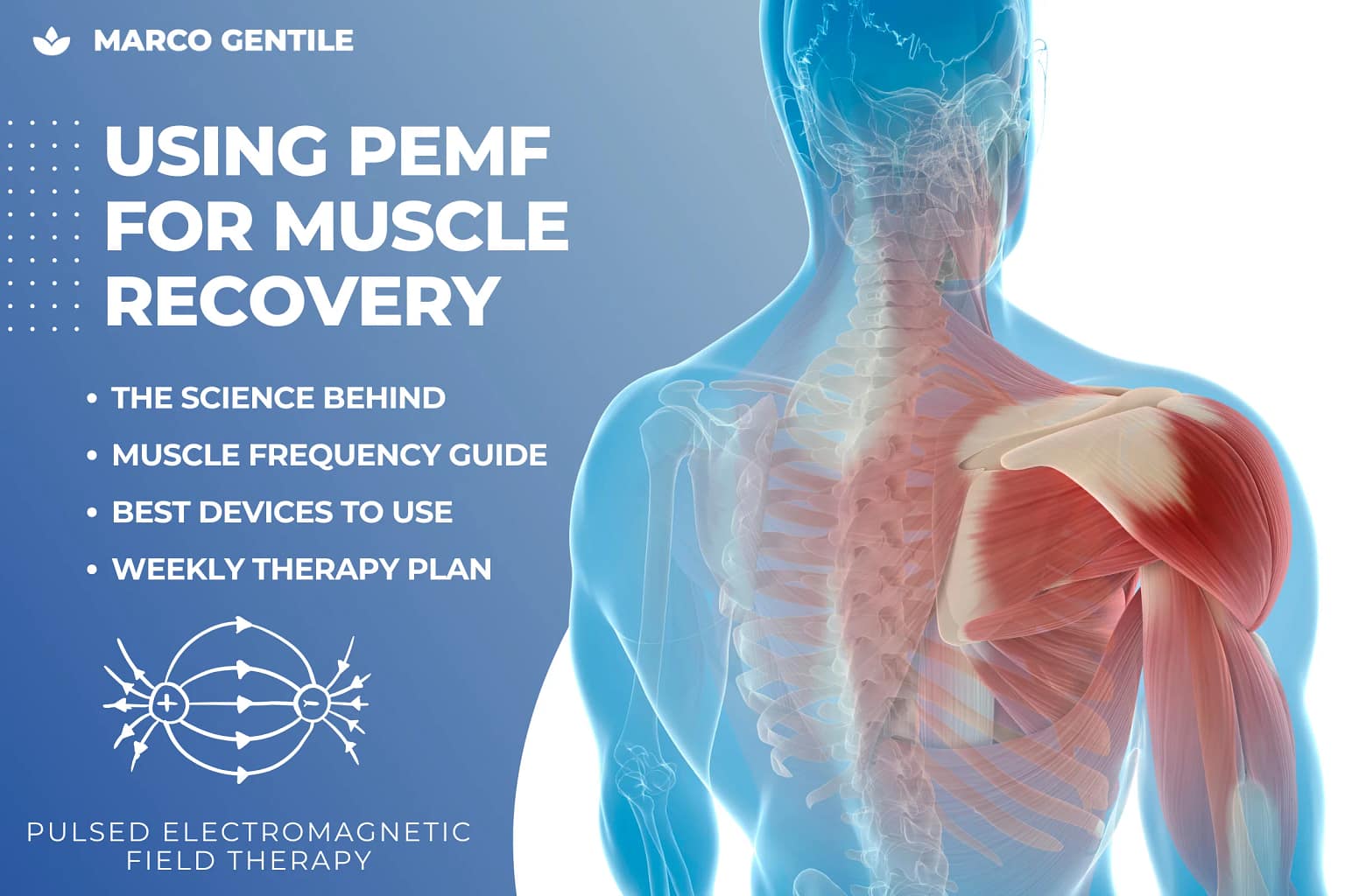PEMF for Muscle Repair: Complete Guide to Recover Faster