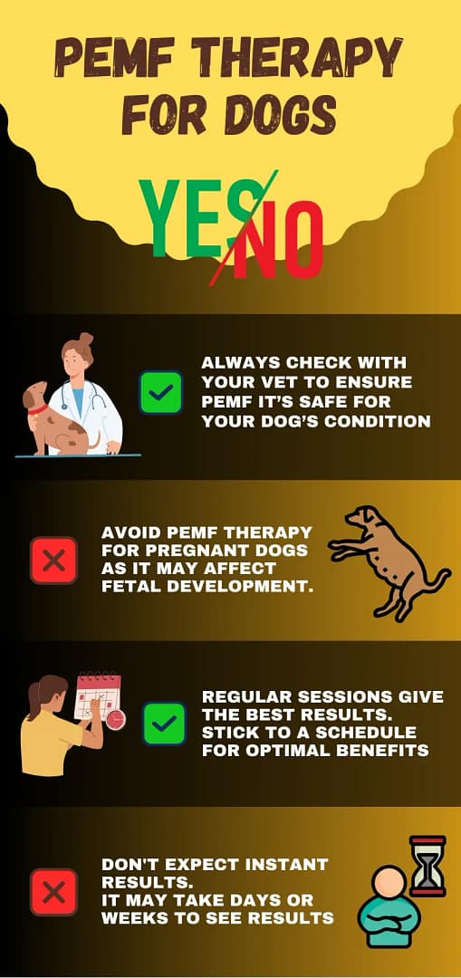 PEMF fof Dogs - Do's and Don'ts Infographic