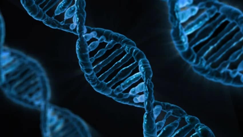 Benefici Materassino Magnetoterapia - Riparazione DNA